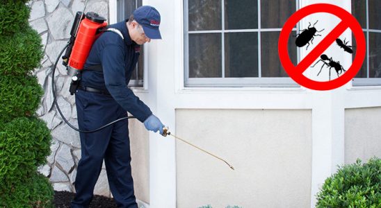 Aksaray Bit İlaçlama böcek ilaçlama ve haşere kontrolü — ilaclama-tr.com